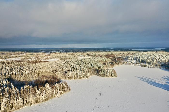 Luminen maisema, Ylöjärvi, 28.1.2021 Luminen maisema Ylöjärvellä.